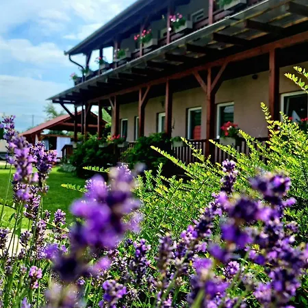 Sweet Life Wellness Egerszalók