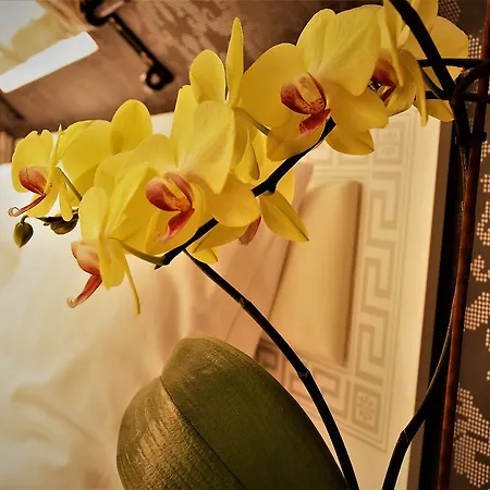 Konukevi Sweet Life Wellness