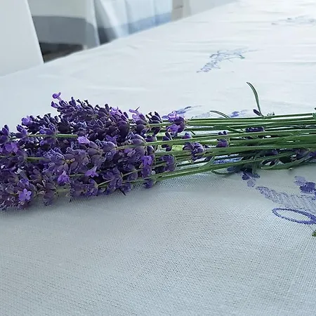 Sweet Life Wellness Egerszalók