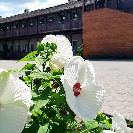 Sweet Life Wellness Egerszalók